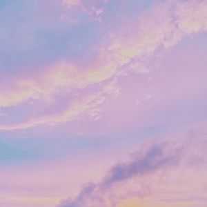 Meet your Posher, Elsie